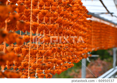 Kusaki no Sato Kusaki no Sato 60950537