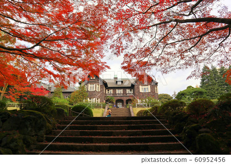 Former Furukawa Garden, Western-style building and autumn leaves. Kita Ward, Tokyo 60952456