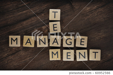 concept art team and management made of wooden cubes with letters 3d render illustration concept art team and management made of wooden cubes with letters 3d render illustration 60952566