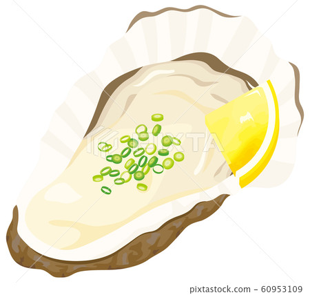 Fresh oysters 60953109