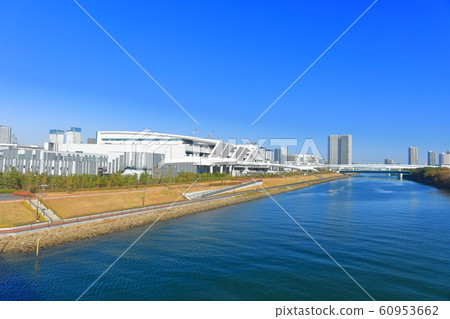 [Tokyo] Sunny Toyosu Market Fisheries Wholesale 60953662