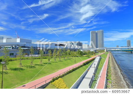 [Tokyo] Sunny day Toyosu Market Fruit and Vegetable Market 60953667