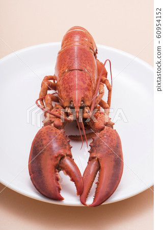 奧馬爾蝦 60954152