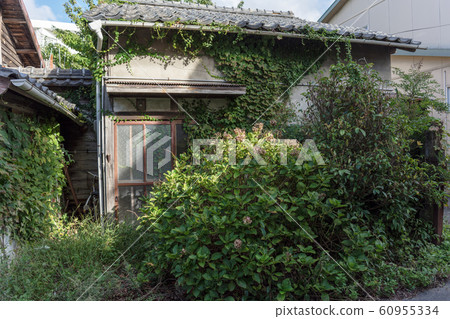 Unoccupied house 60955334