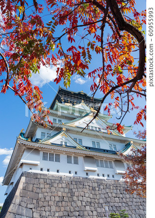 大阪城和紅葉城樓 60955993