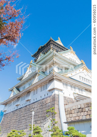 Osaka Castle and the castle tower of colored leaves Osaka Castle and the castle tower of colored leaves 60956015