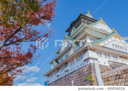 Osaka Castle and the castle tower of colored leaves Osaka Castle and the castle tower of colored leaves 60956016