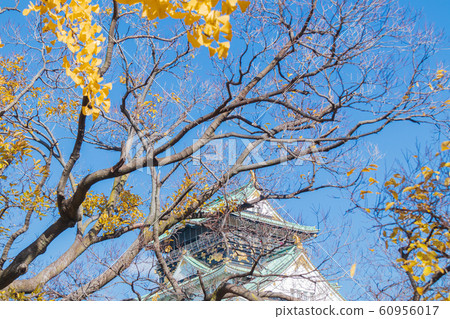 Osaka Castle and the castle tower of colored leaves 60956017