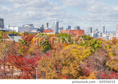 Building area seen over the autumn leaves of Osaka Castle Building area seen over the autumn leaves of Osaka Castle 60956018