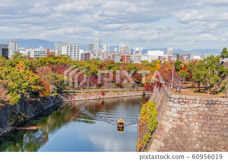 Building area seen over the autumn leaves of Osaka Castle Building area seen over the autumn leaves of Osaka Castle 60956019