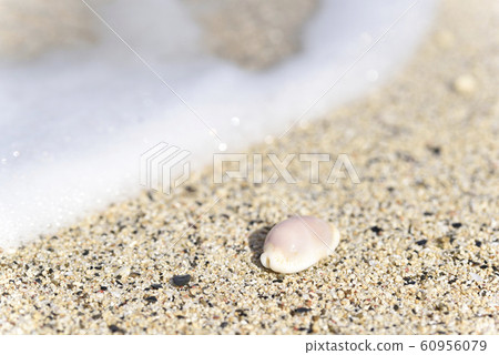 The shore of the seashore The shore of the seashore 60956079