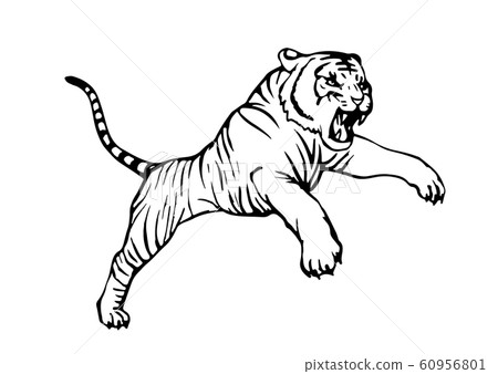 Tiger Line Art Stock Vector by ©koratmember 32748911