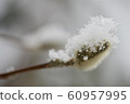 Winter gift 60957995