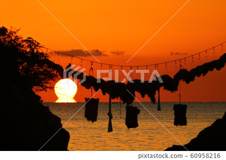 豐後二浦達磨太陽 豐後二浦達磨太陽 60958216