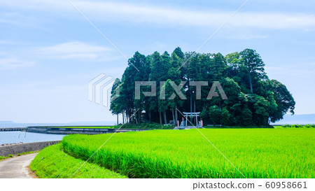 Kashima Shrine (Noto) 60958661