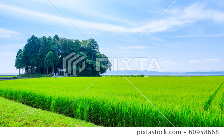 Kashima Shrine (Noto) Kashima Shrine (Noto) 60958668