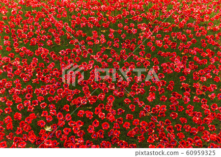 United Kingdom, London United Kingdom, London 60959325