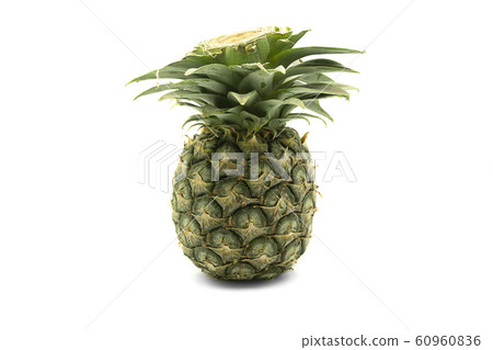 Pineapple Pineapple 60960836