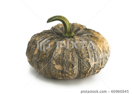 Pumpkin 60960845