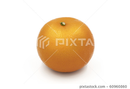 Fresh orange fruit Fresh orange fruit 60960860
