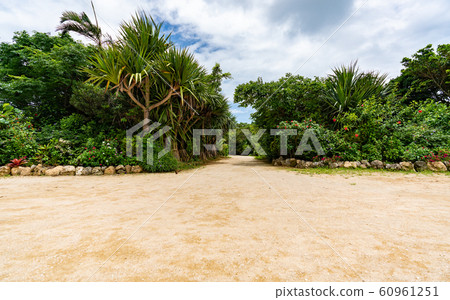Sand, green and sky in Iriomote and Yufu Island 60961251
