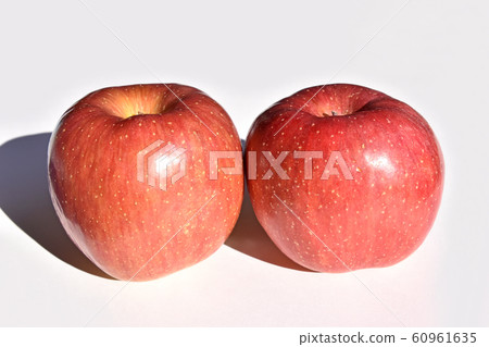 Sun Fuji Sun Fuji 60961635