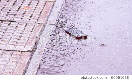 Smartphone dropped on road on rainy day 60961688