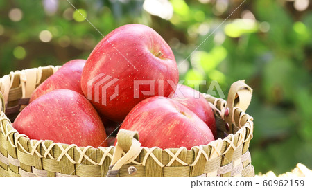 Apples in a bag (Shinano Sweet) Apples in a bag (Shinano Sweet) 60962159