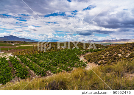 Landscape view of Cieza near Murcia in Spain Landscape view of Cieza near Murcia in Spain 60962476