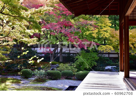 Sengaku-ji Temple in Kyoto Gozasho Garden Sengaku-ji Temple in Kyoto Gozasho Garden 60962708