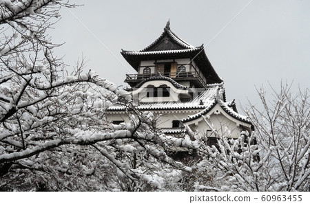 Inuyama Castle Snow Inuyama Castle Inuyama Castle in Winter Inuyama Castle Snow Scene Inuyama Castle Winter Scene National Inuyama Castle Inuyama Castle Snow Inuyama Castle Inuyama Castle in Winter Inuyama Castle Snow Scene Inuyama Castle Winter Scene National Inuyama Castle 60963455