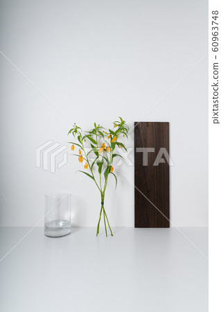 Sandersonia聖誕鈴鐺狗藏紅花 60963748