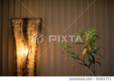 Sandersonia聖誕鈴鐺狗藏紅花 Sandersonia聖誕鈴鐺狗藏紅花 60963751