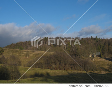 Late autumn or early winter landscape with green hills, meadow, bare trees, spruce tree forest and wooden cottage. Blue sky background. Rural landscape in countryside. Sunny day. Copy space 60963920