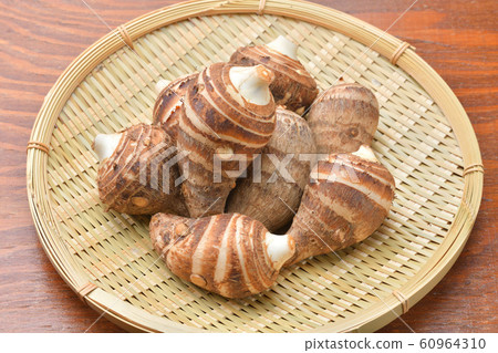 Shrimp potato (shrimp potato, shrimp potato). The type of taro. 60964310