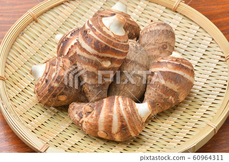 Shrimp potato (shrimp potato, shrimp potato). The type of taro. 60964311