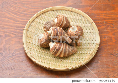 Shrimp potato (shrimp potato, shrimp potato). The type of taro. Shrimp potato (shrimp potato, shrimp potato). The type of taro. 60964319