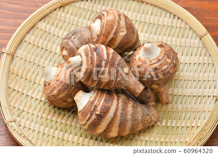 Shrimp potato (shrimp potato, shrimp potato). The type of taro. 60964320