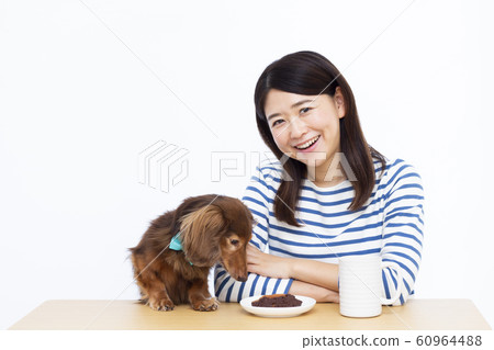 30s female and miniature dachshund 30s female and miniature dachshund 60964488