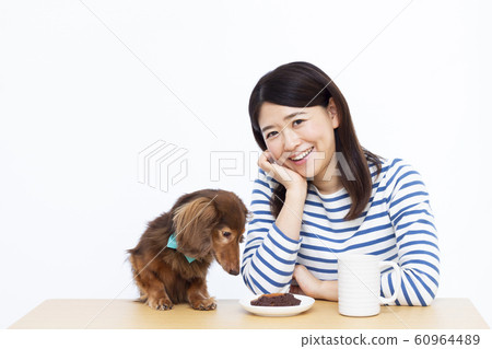 30多歲的女性和微型臘腸犬 60964489
