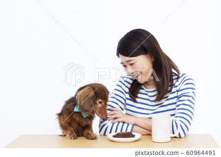 30s female and miniature dachshund 60964491