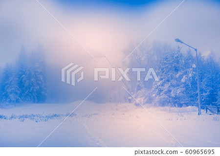 Ski resort Bansko, Bulgaria panorama 60965695