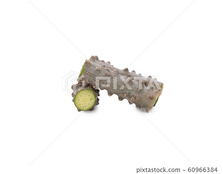 Tinospora cordifolia herb isolated on white Tinospora cordifolia herb isolated on white 60966384