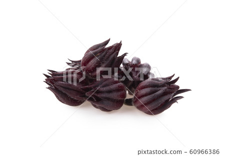 Hibiscus sabdariffa or roselle fruits isolated on Hibiscus sabdariffa or roselle fruits isolated on 60966386