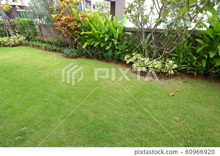 garden arrangement landscaping with green grass garden arrangement landscaping with green grass 60966920