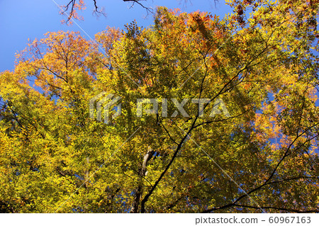 尺k公園(1) 尺k公園(1) 60967163