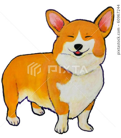 Smiling corgi 60967244
