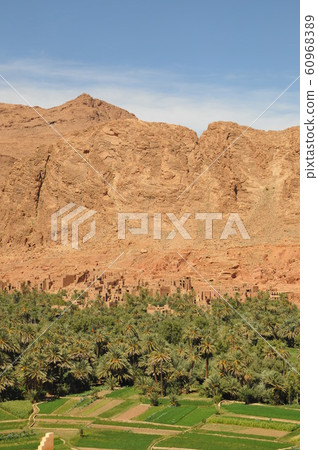 Morocco, Kasbah Highway, a village with date palm fields Morocco, Kasbah Highway, a village with date palm fields 60968389