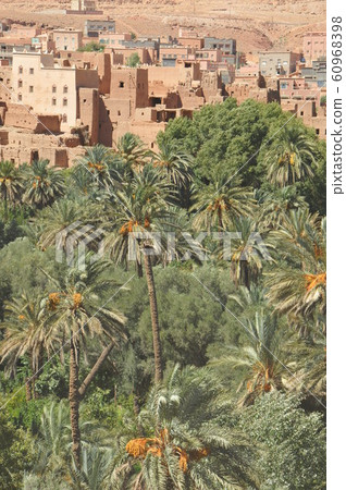 Morocco, Kasbah Highway, a village with date palm fields 60968398
