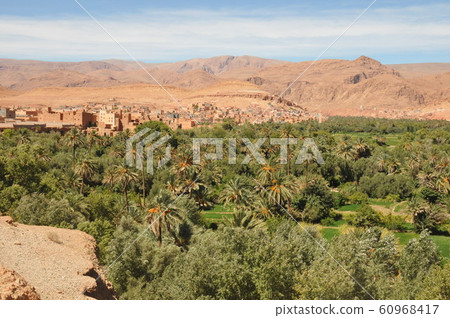 Morocco, Kasbah Highway, a village with date palm fields 60968417